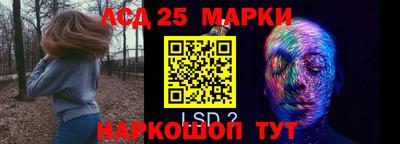 мдма Кингисепп