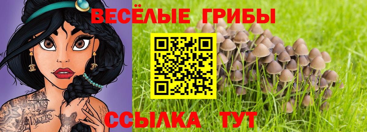 Псилоцибиновые грибы ЛСД  Вход с VPN  Касимов  Галлюциногенные грибы Psilocybine cubensis 